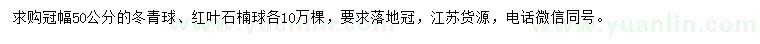 求购冠幅50公分冬青球、红叶石楠球