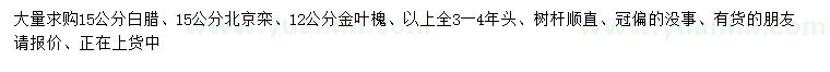 求购白腊、北京栾、金叶槐