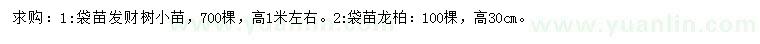 求购高1米左右发财树小苗、30公分龙柏