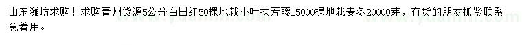 求购百日红、小叶扶芳藤、麦冬