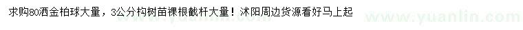 求购80公分洒金柏球、3公分构树苗