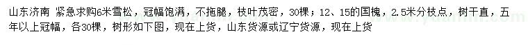 求购6米雪松、12、15公分国槐