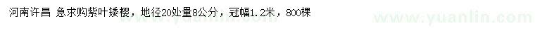 求购地径20处量8公分紫叶矮樱