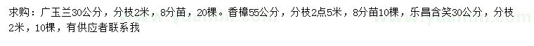 求购30公分广玉兰、55公分香樟