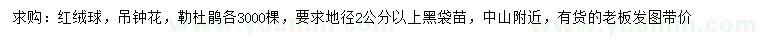 求购红绒球、吊钟花、勒杜鹃