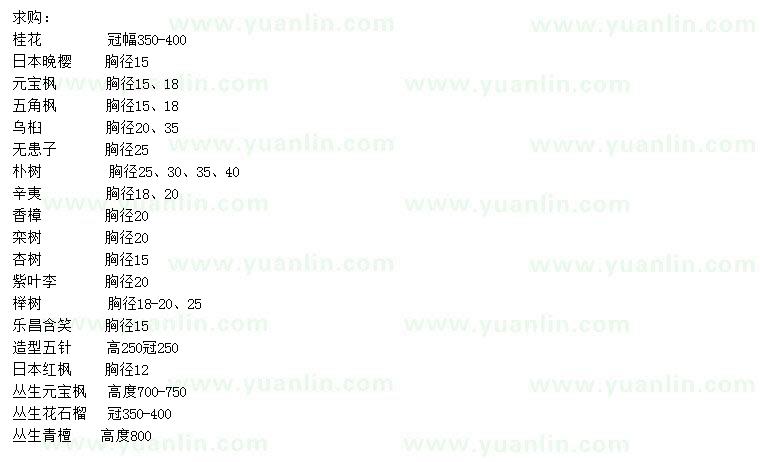 求购桂花、日本晚樱、元宝枫等