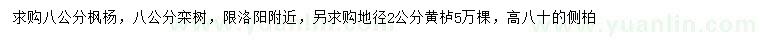 求购枫杨、栾树、黄栌等