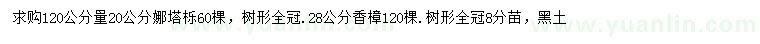 求购1.2米量20公分娜塔栎、28公分香樟