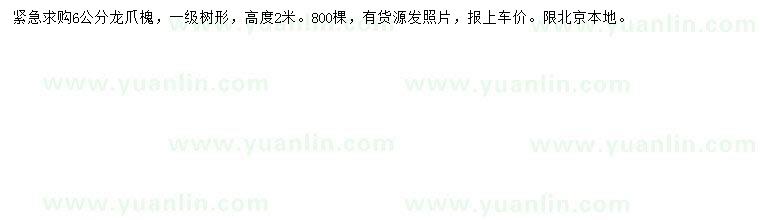 求购6公分龙爪槐