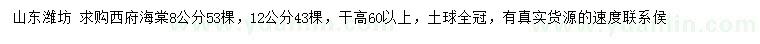 求购8、12公分西府海棠