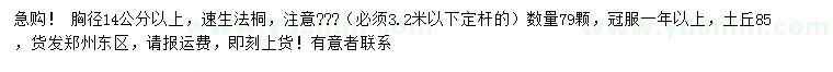 求购胸径14公分以上速生法桐