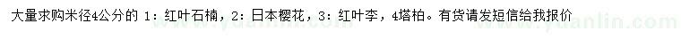 求购红叶石楠、日本樱花、红叶李等