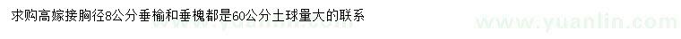 求购胸径8公分垂榆、垂槐