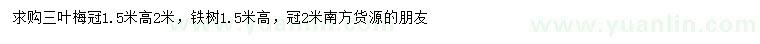 求购冠1.5米三叶梅、铁树