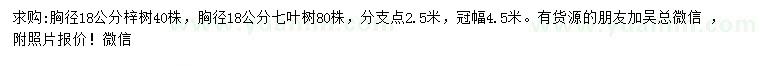 求购胸径18公分梓树、七叶树