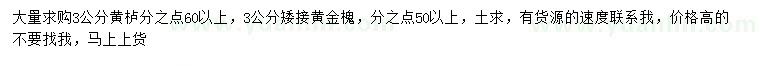 求购3公分黄栌、矮接黄金槐