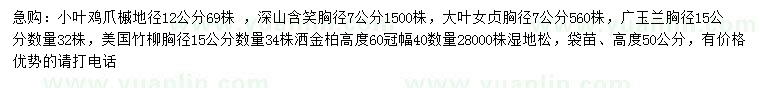 求购小叶鸡爪槭、深山含笑、大叶女贞等