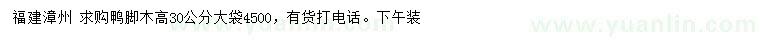 求购高30公分鸭脚木