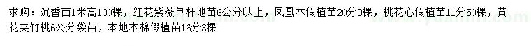 求购沉香苗、红花紫薇、凤凰木等