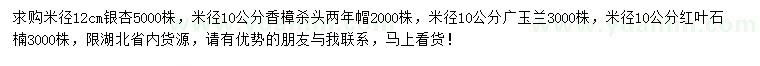 求购银杏、香樟、广玉兰等