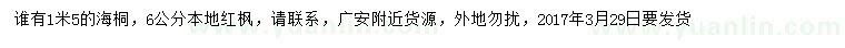 求购1.5米海桐、6公分本地红枫