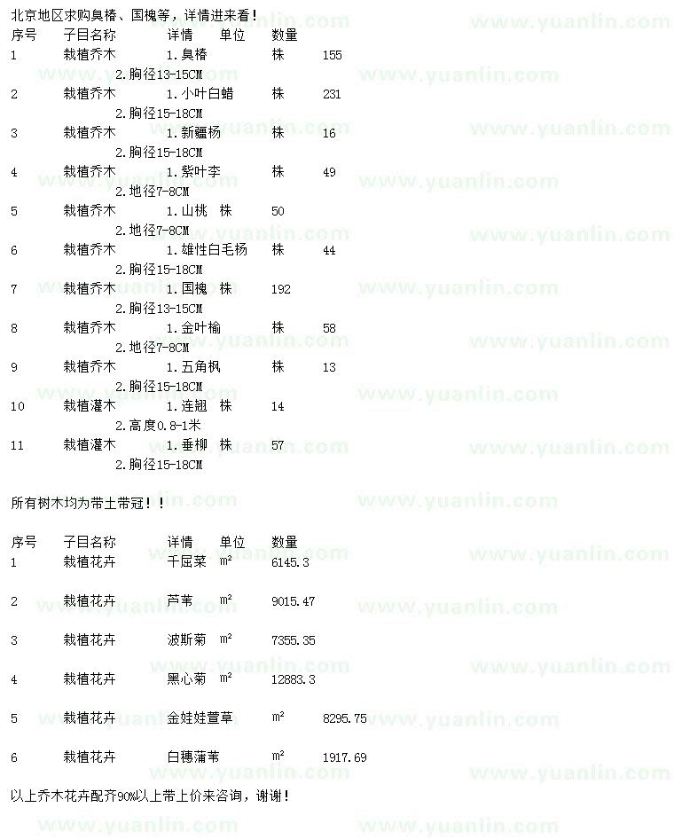 求购臭椿、小叶白蜡、新疆杨等