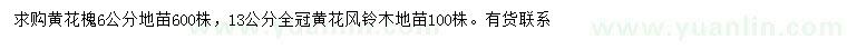 求购6公分黄花槐、13公分黄花风铃木