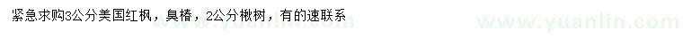 求购美国红枫、臭椿、楸树，