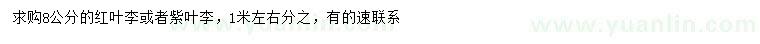 求购8公分红叶李、紫叶李