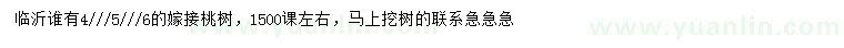 求购4、5、6公分嫁接桃树