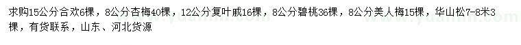 求购合欢、杏梅、复叶槭等