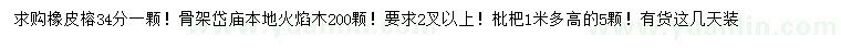 求购橡皮榕、本地火焰木、枇杷