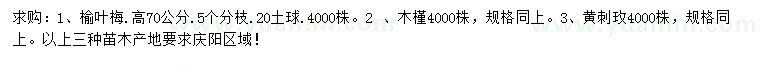 求购榆叶梅、木槿、黄刺玫