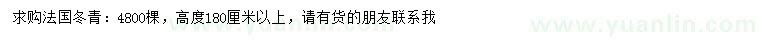 求购高度180公分以上法国冬青