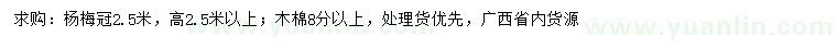 求购高2.5米上杨梅树、8公分木棉树