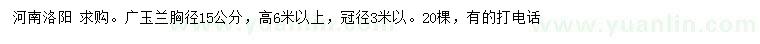 求购胸径15公分广玉兰