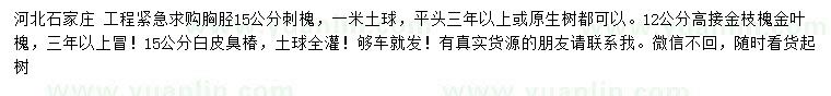 求购刺槐、高接金枝槐、白皮臭椿