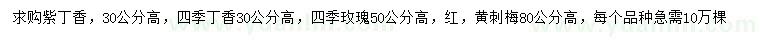 求购丁香、四季玫瑰、黄刺梅