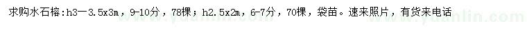 求购6-7、9-10公分水石榕