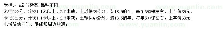 求购米径5、6公分紫薇