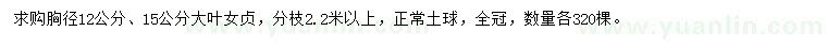 求购胸径12、15公分大叶女贞