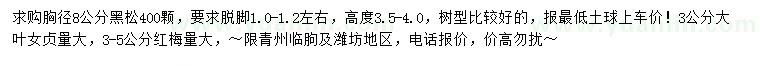 求购黑松、大叶女贞、红梅