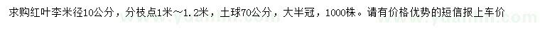 求购米径10公分红叶李