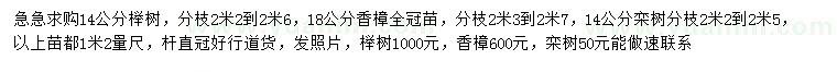 求购榉树、栾树、香樟