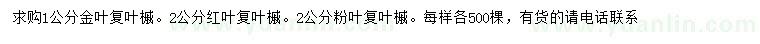 求购金叶复叶槭、红叶复叶槭、粉叶复叶槭