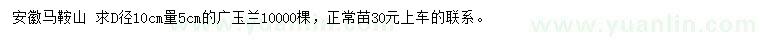 求购地径10公分量5公分广玉兰