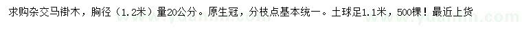 求购胸径1.2米量20公分杂交马褂木