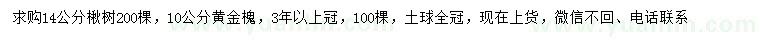 求购14公分楸树、10公分黄金槐