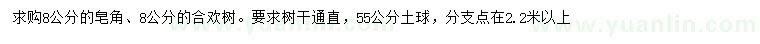 求购8公分皂角、合欢树