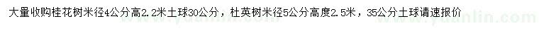 求购米径4公分桂花、5公分杜英